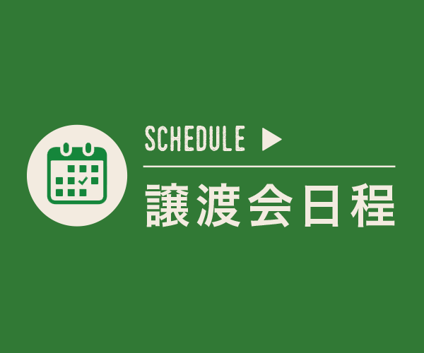 譲渡会スケジュール