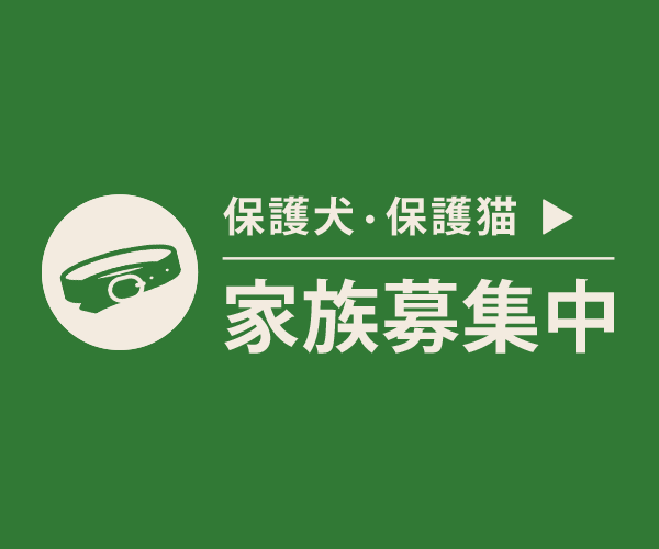 家族募集中の犬・猫